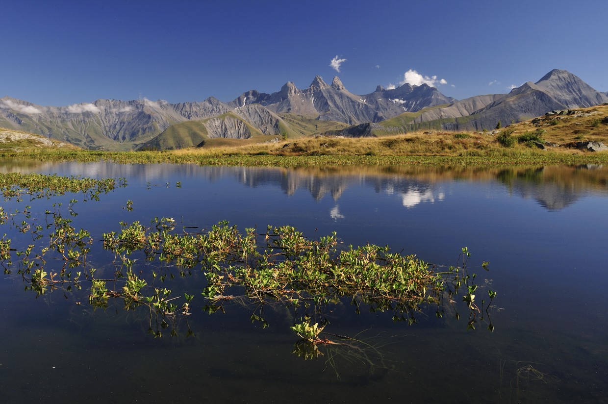 lac guichard