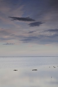 _AAA3083