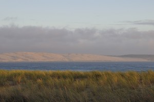 _AAA5481         