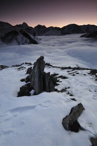 _AAA6464                      