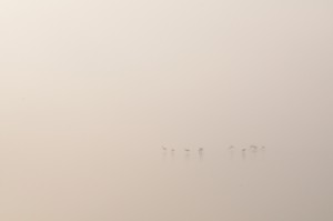 _DSC5562           